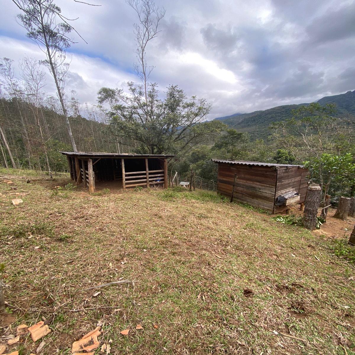 9 hectares de terra com beira de rio - Timbé