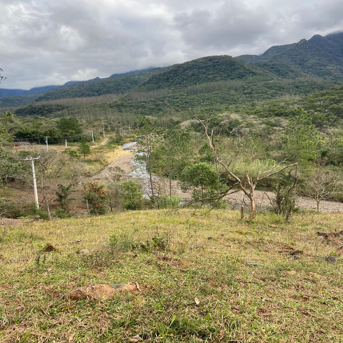 9 hectares de terra com beira de rio - Timbé