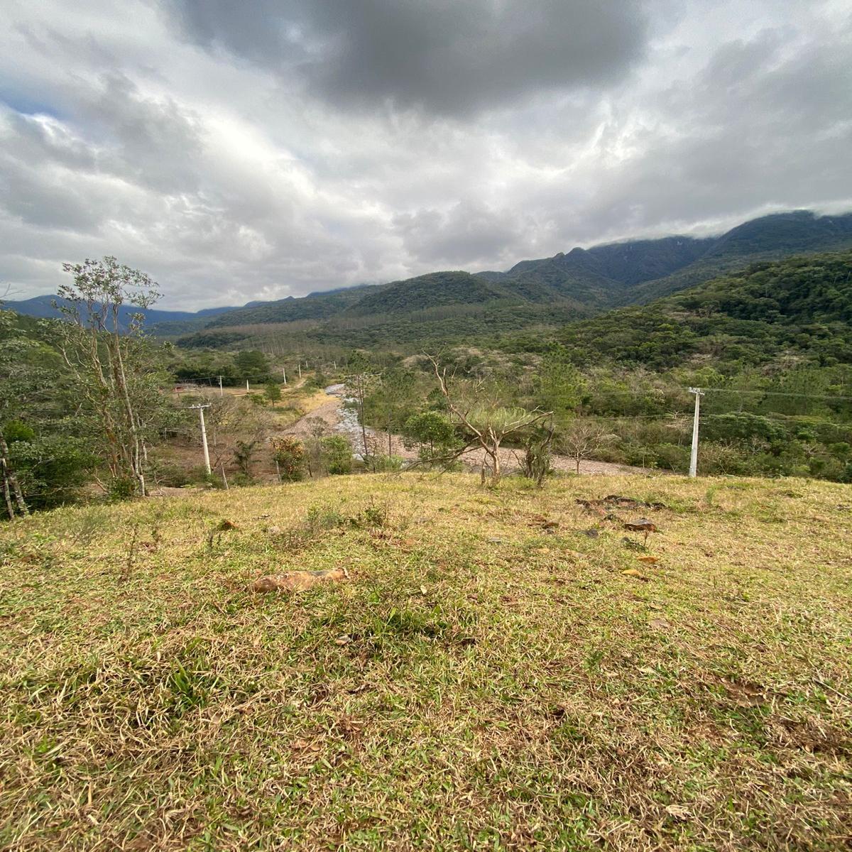 9 hectares de terra com beira de rio - Timbé