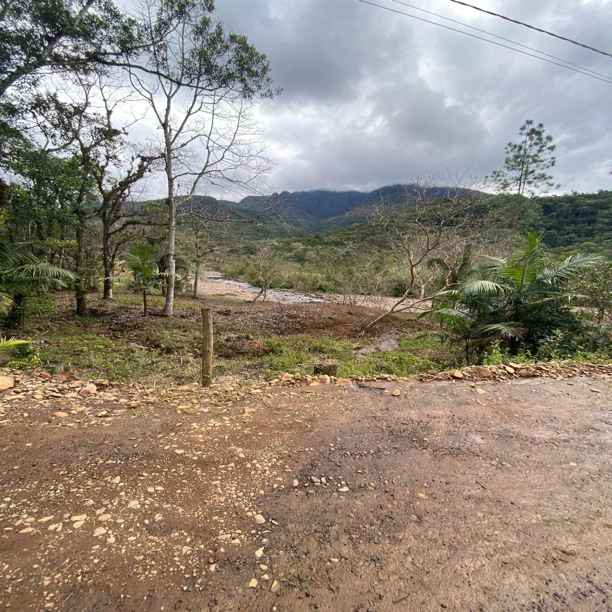 9 hectares de terra com beira de rio - Timbé