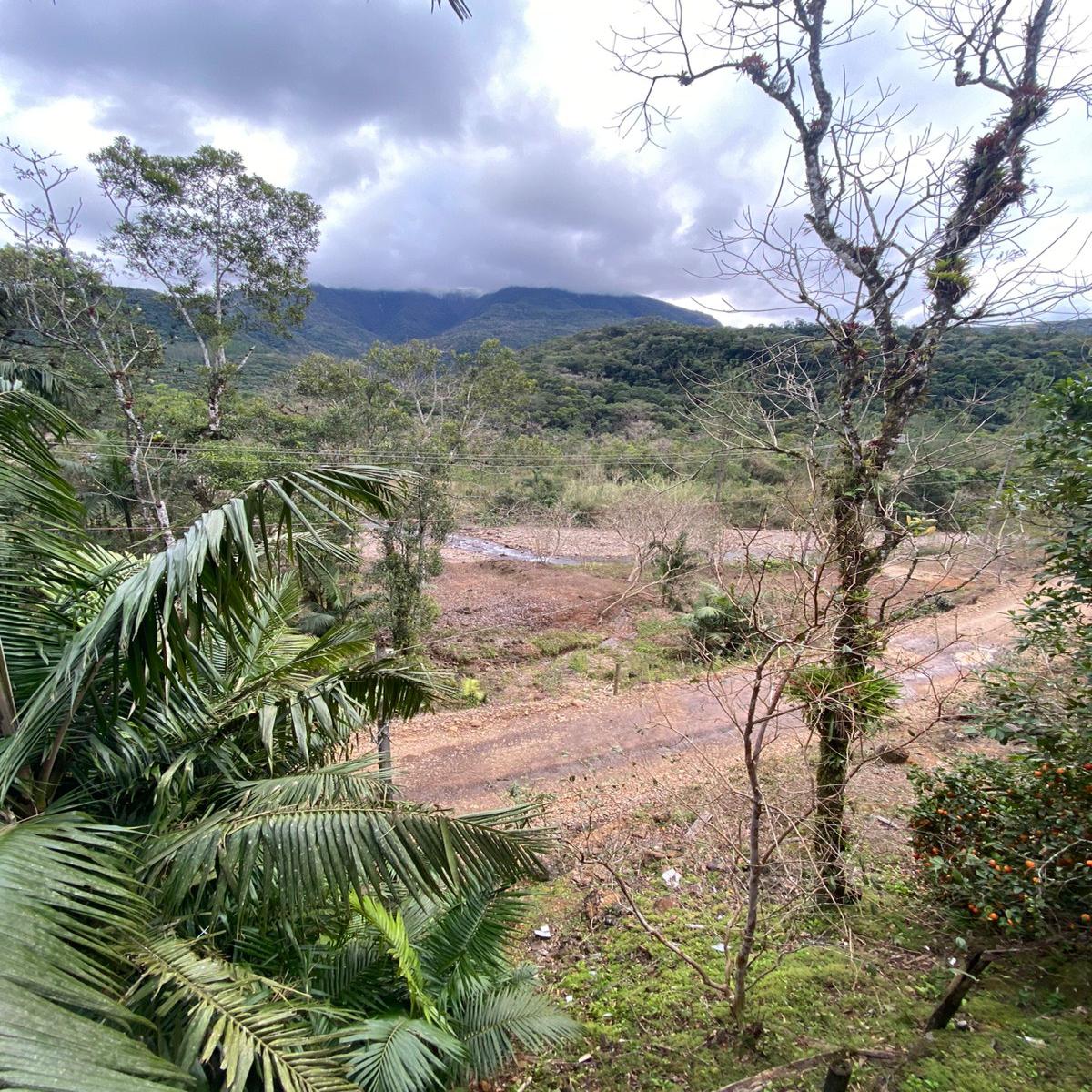 9 hectares de terra com beira de rio - Timbé
