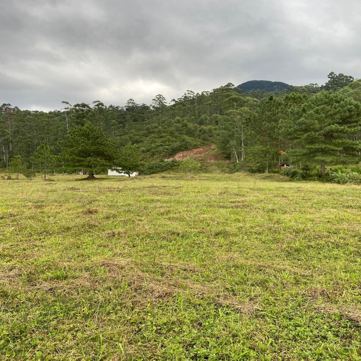 Área de terra para investimento - Morro Grande