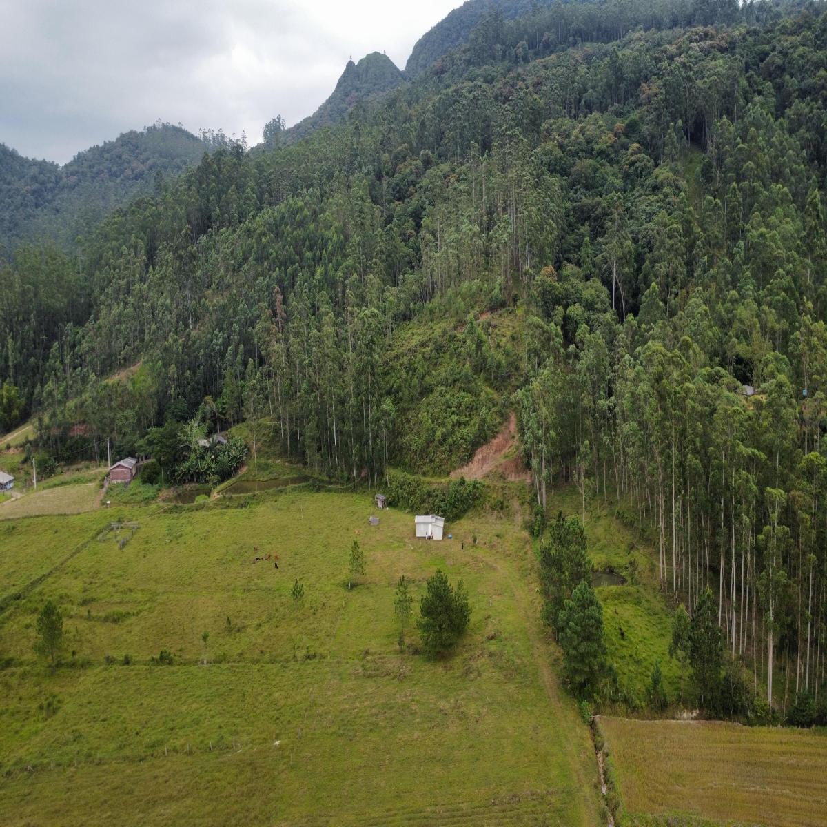 Área de terra para investimento - Morro Grande