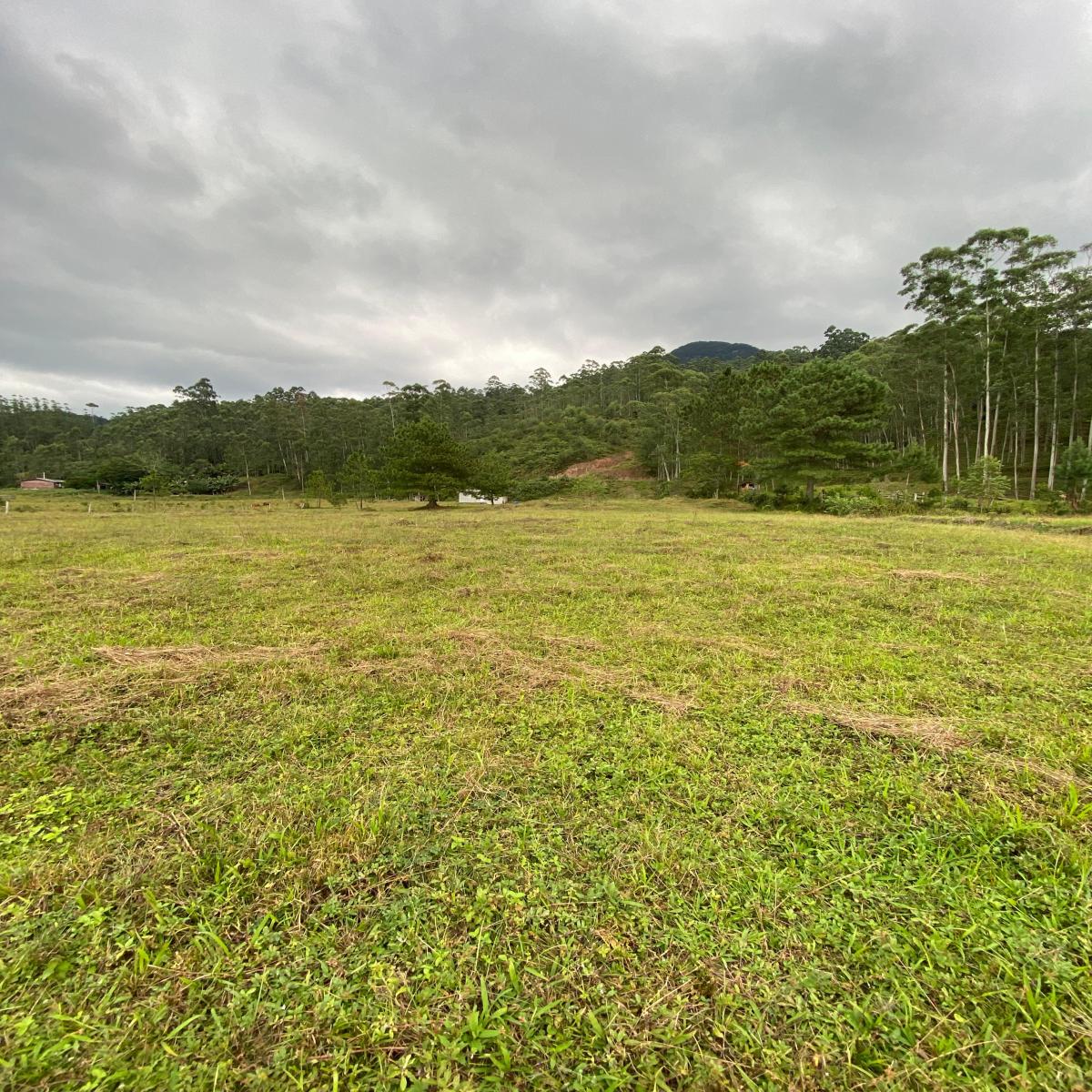 Área de terra para investimento - Morro Grande