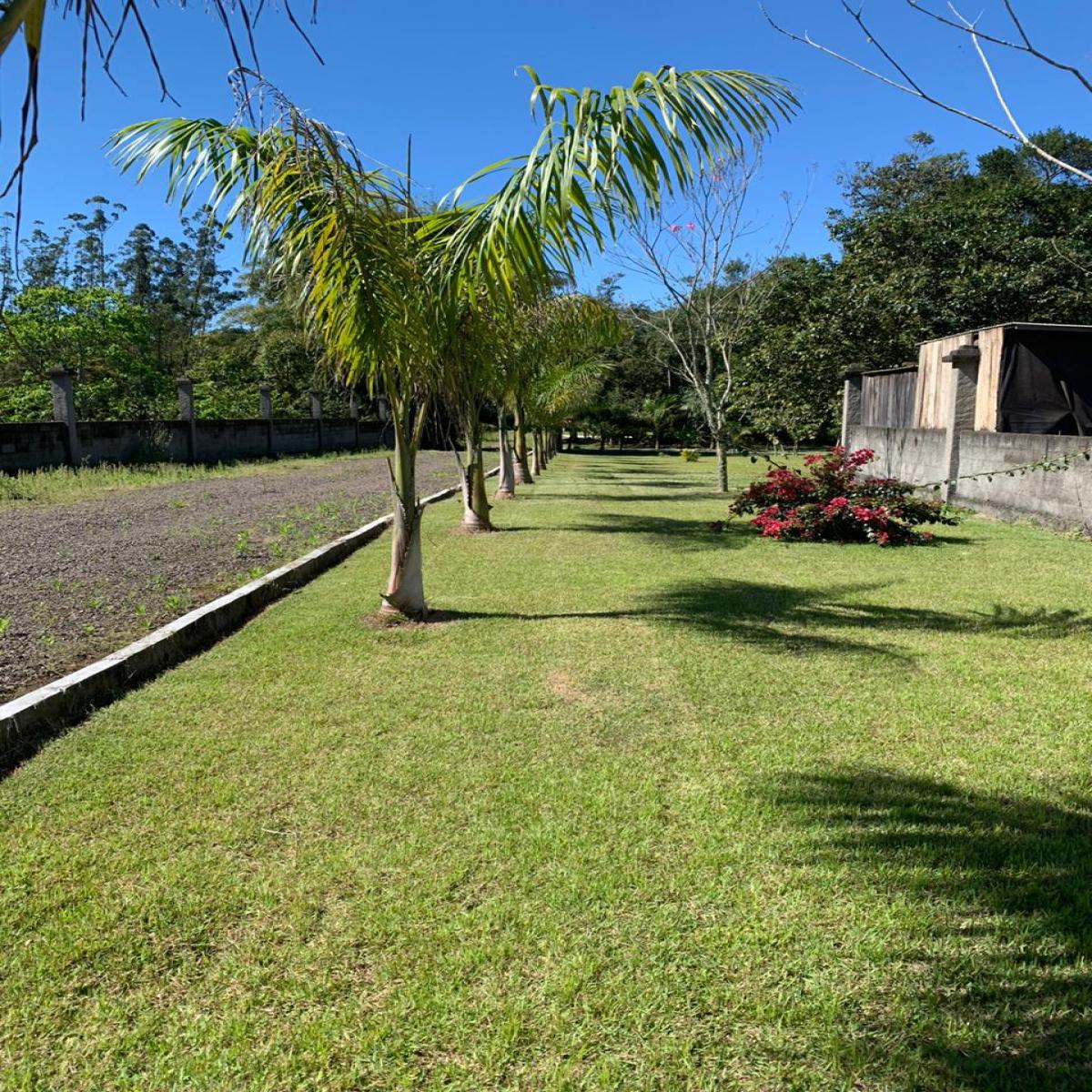 Sítio com 5.800m2 - Turvo