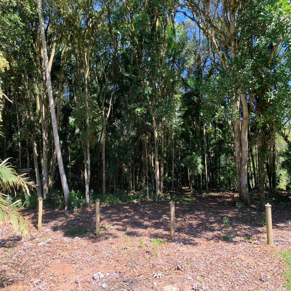 Sítio com 5.800m2 - Turvo