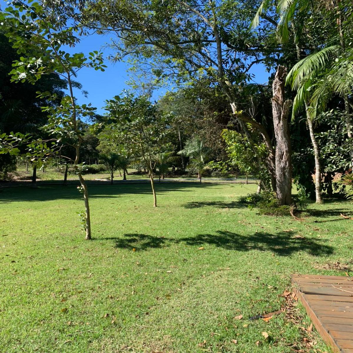 Sítio com 5.800m2 - Turvo