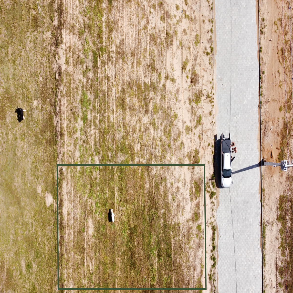 Terreno em um novo loteamento - Bairro Caverazinho