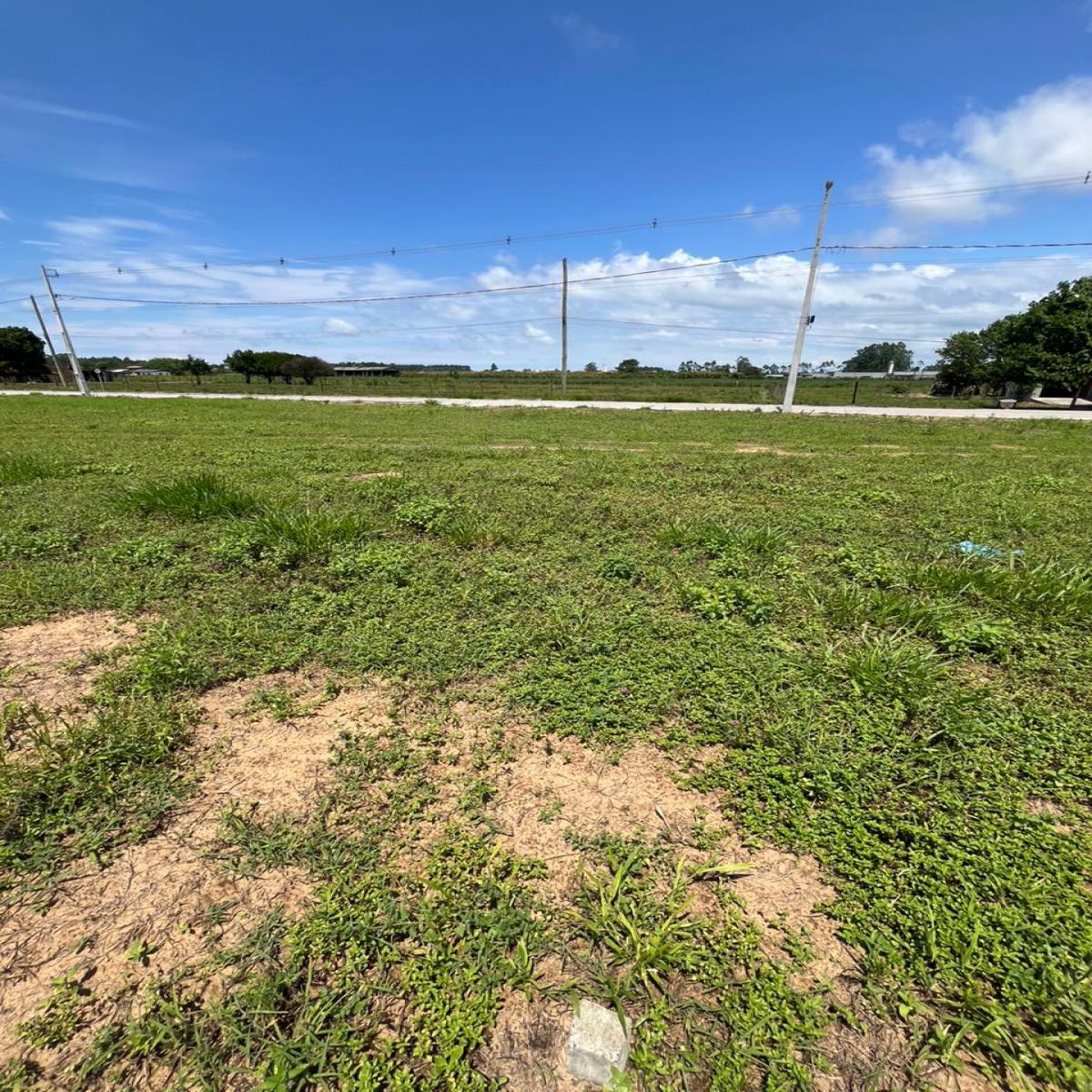 Terrenos próximo a PRF - Bairro Sanga da Toca